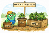Living Soil Topfgröße: Warum echtes Living Soil erst ab ~40 Liter beginnt - CannaSelection®