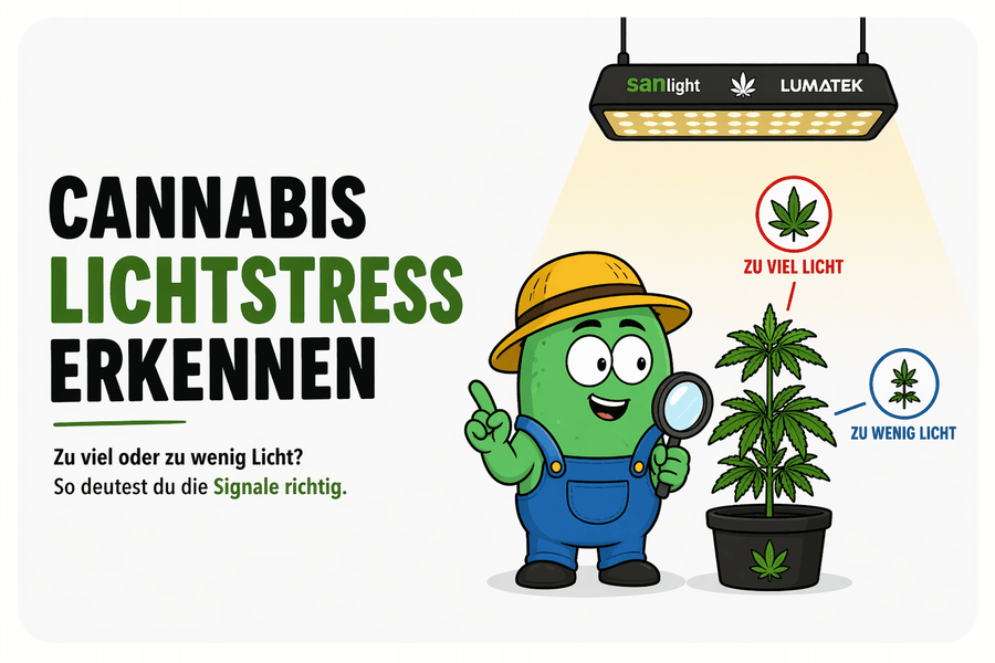 Cannabis Lichtstress erkennen: Warum du nicht jeden Wert messen musst