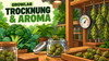 Cannabis Drying: What Appearance and Aroma Reveal