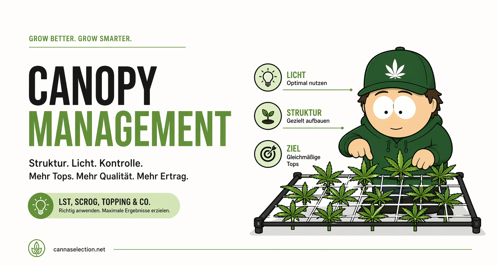 Canopy Management beim Cannabis Grow - CannaSelection®