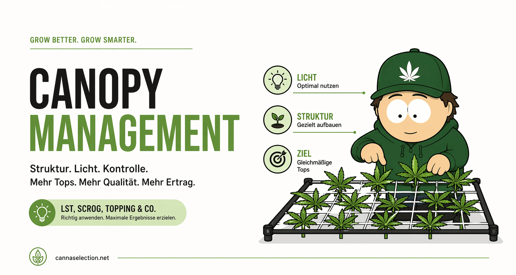 Canopy Management beim Cannabis Grow - CannaSelection®