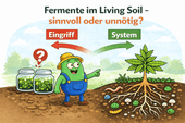 Fermente im Living Soil: Gamechanger – oder nur ein Zeichen, dass dein System nicht funktioniert? - CannaSelection®