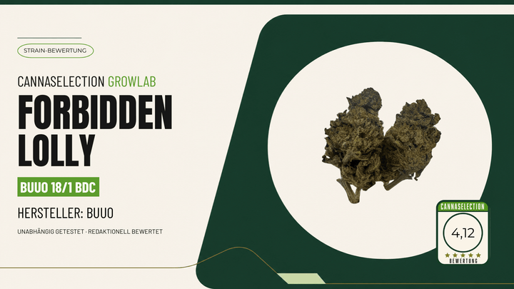 Forbidden Lolly Test: Buuo 18/1 BDC bewertet - CannaSelection®