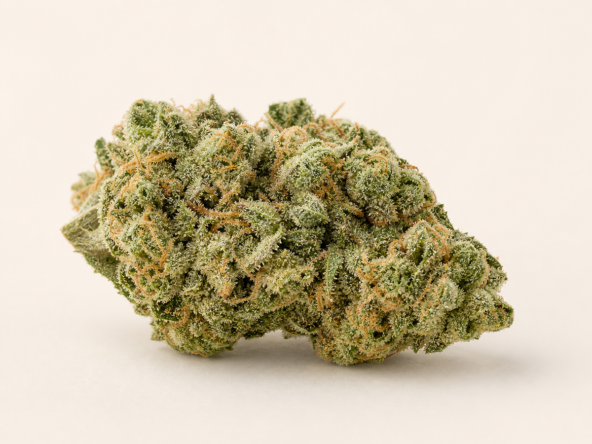 Gelato 33 Bud im CannaSelection Sortentest