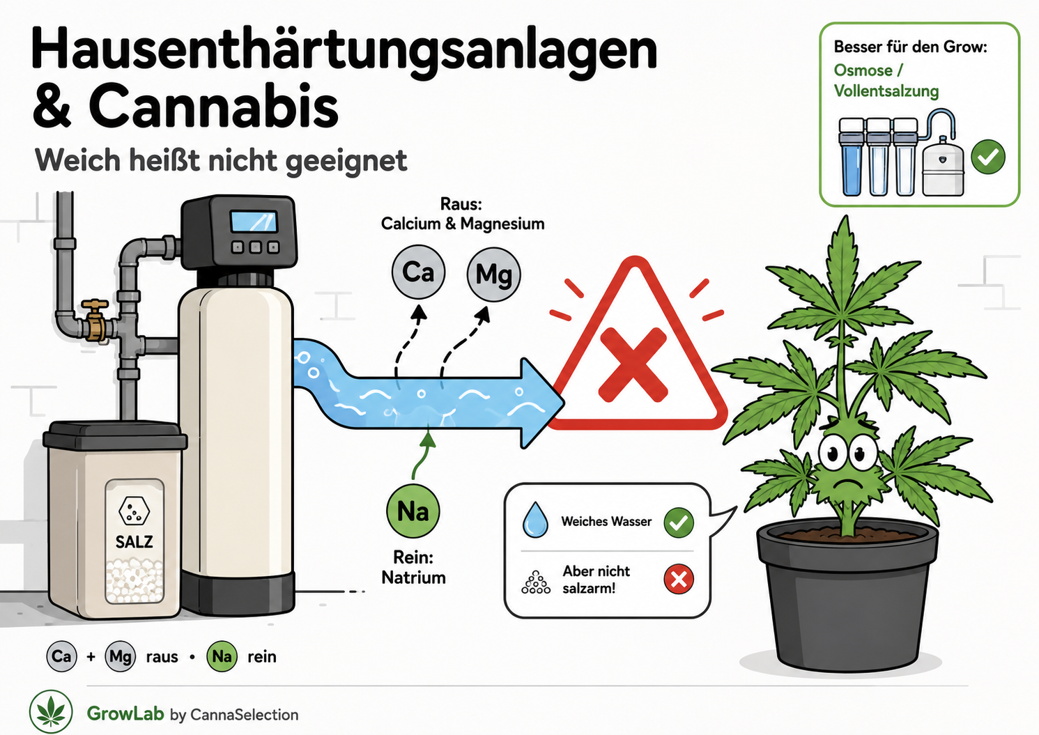 Hausentsalzungsanlage und Cannabis: Warum weiches Wasser zum Growproblem wird
