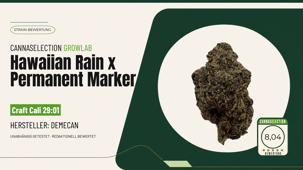 Hawaiian Rain X Permanent Marker von DEMECAN Craft Cali 29:01 im CannaSelection® Sortentest