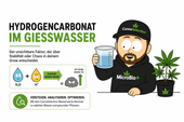 Hydrogencarbonat im Gießwasser - CannaSelection®