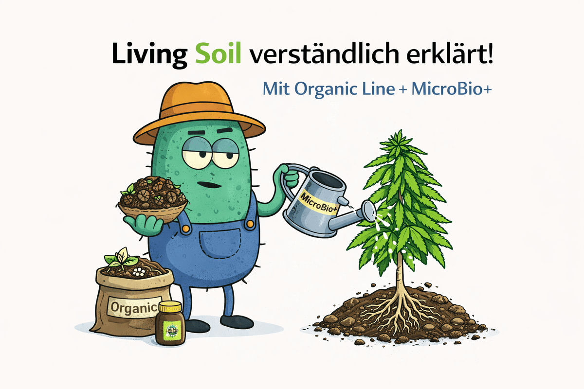 Living Soil einfach erklärt – Der natürliche Weg zu gesunden Pflanzen