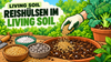 Cáscaras de arroz en Living Soil: aplicación, límites y diferencias frente a la perlita y la piedra pómez