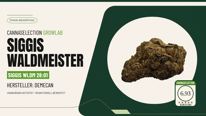 Siggis Waldmeister Test: DEMECAN WLDM 28:01 bewertet - CannaSelection®