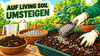 Switching from mineral feeding to Living Soil
