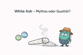 White Ash - Qualitätsmerkmal oder hartnäckiger Mythos? - CannaSelection®