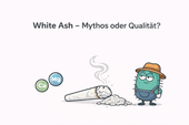 White Ash – Qualitätsmerkmal oder hartnäckiger Mythos? - CannaSelection®