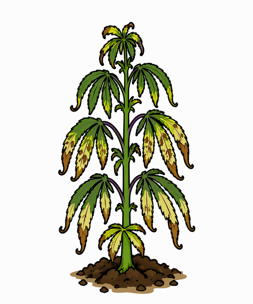 pH-Problem / Nährstoff-Lockout