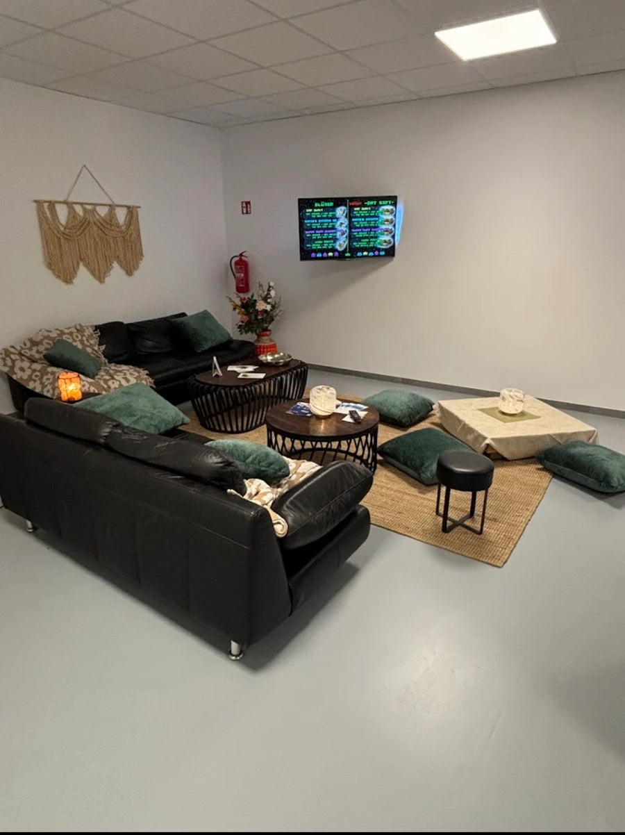 Westwood Cannabis Collective e.V. Galerie