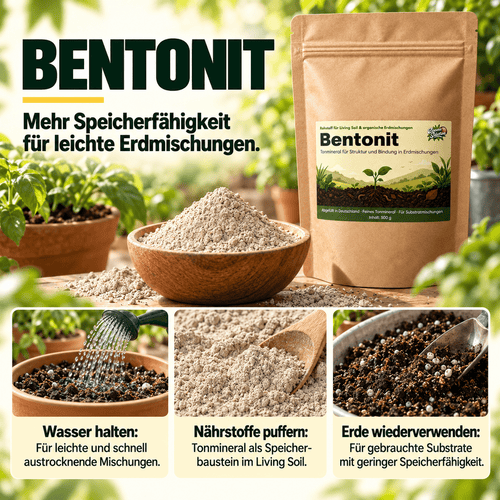 Bentonita