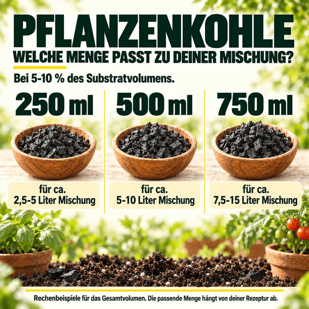 Biochar / Pflanzenkohle - CannaSelection®