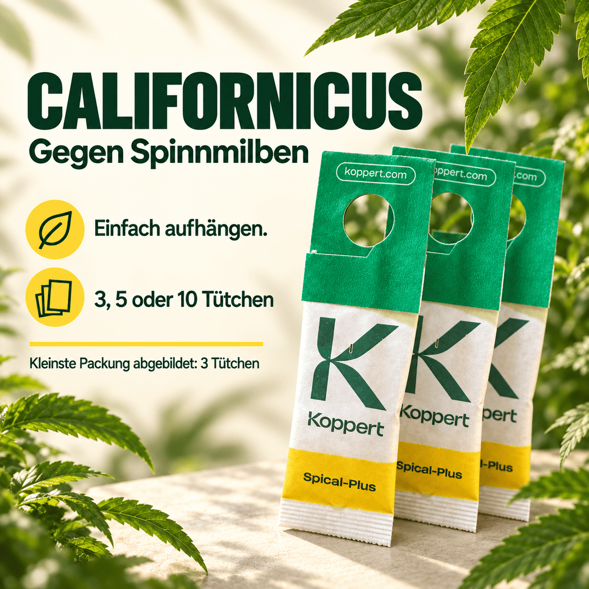 Californicus Raubmilben gegen Spinnmilben - CannaSelection®