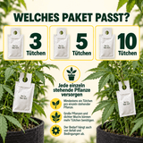 Cucumeris Raubmilben gegen Thripse - CannaSelection®