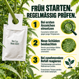 Cucumeris Raubmilben gegen Thripse - CannaSelection®