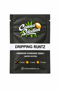 Dripping Runtz | Dripping Pantis × Runtz | Limited Edition - CannaSelection®