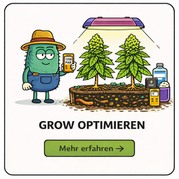 Optimize Growth