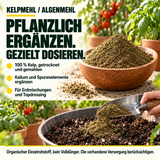 Kelpmehl / Algenmehl – 100 % Kelp - CannaSelection®