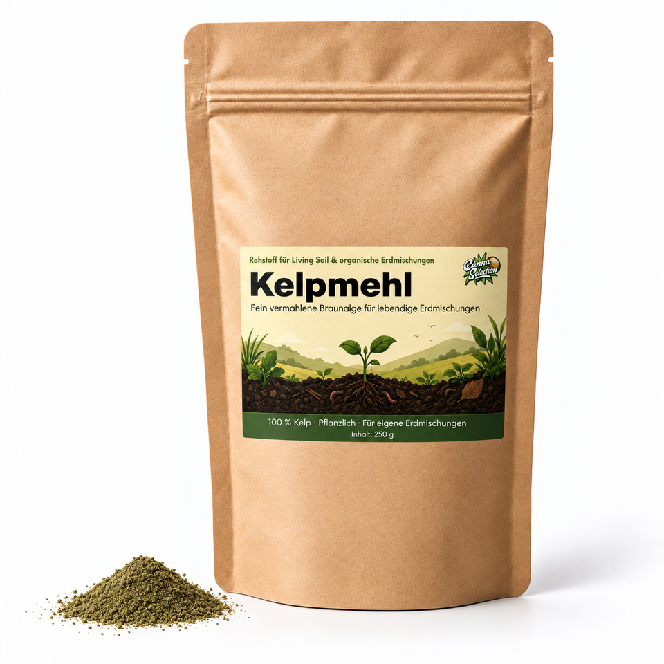 Kelpmehl / Algenmehl – 100 % Kelp