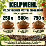 Kelpmehl / Algenmehl – 100 % Kelp - CannaSelection®