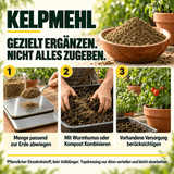 Kelpmehl / Algenmehl – 100 % Kelp - CannaSelection®