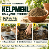 Kelpmehl / Algenmehl – 100 % Kelp - CannaSelection®