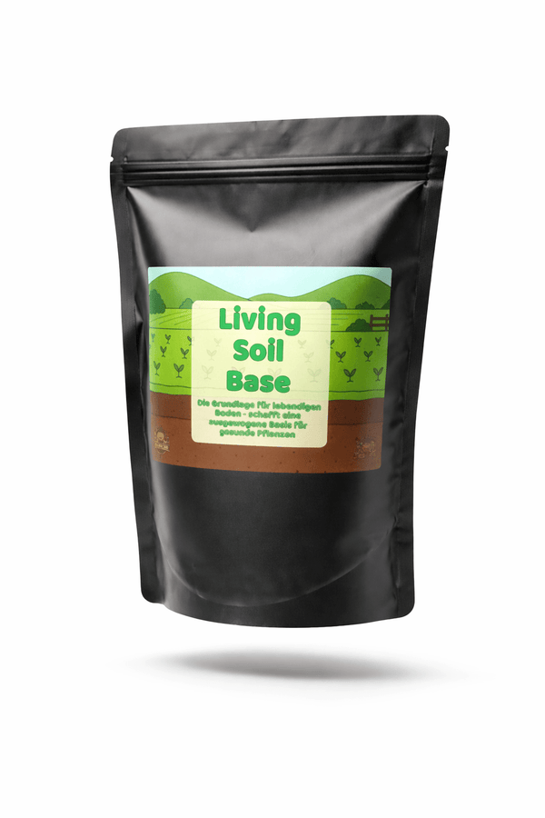 Living Soil Base