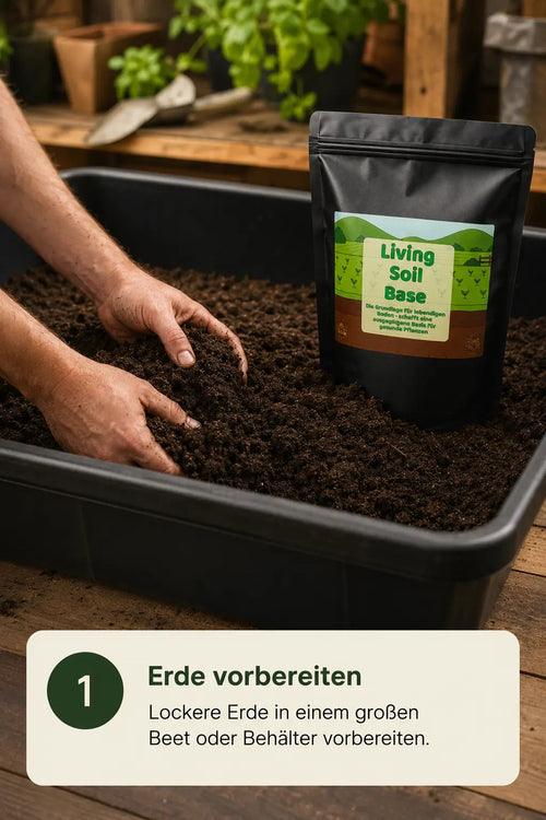 Living Soil Base