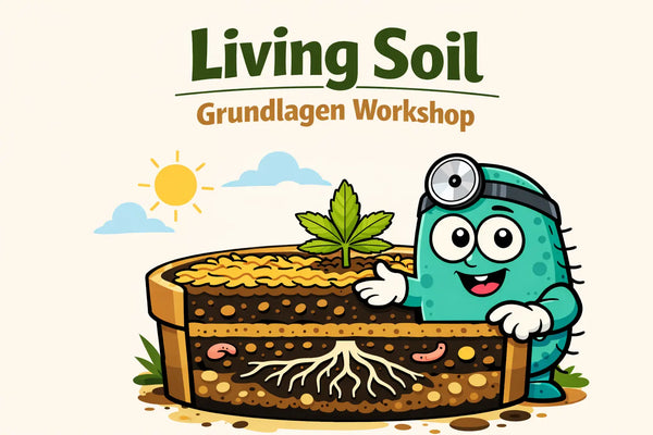Living Soil Grundlagen Workshop
