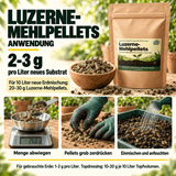 Luzerne-Mehlpellets - Alfalfa Pellets - CannaSelection®