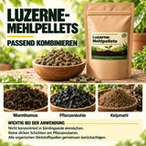 Luzerne-Mehlpellets - Alfalfa Pellets - CannaSelection®
