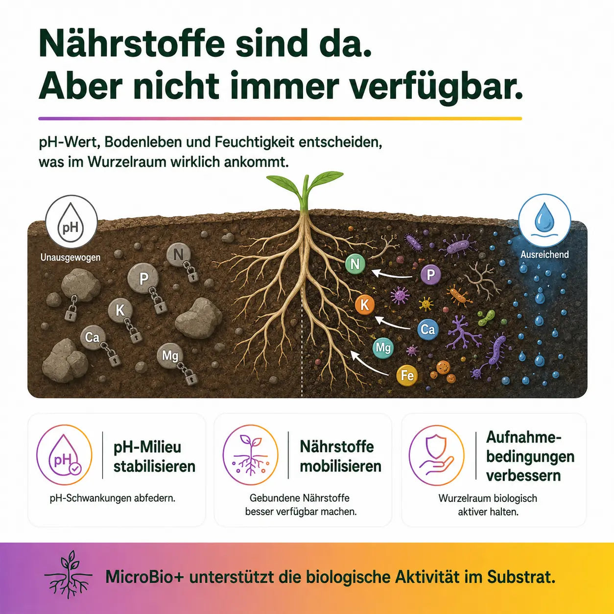 MicroBio+ - CannaSelection®