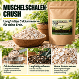 Muschelschalen-Crush - CannaSelection®