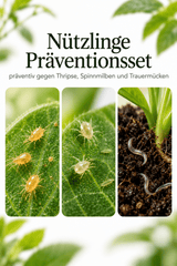 Nützlinge Präventionsset - CannaSelection®