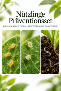 Nützlinge Präventionsset - CannaSelection®