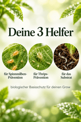 Nützlinge Präventionsset - CannaSelection®