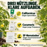 Nützlinge Präventionsset - CannaSelection®