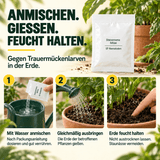 SF Nematoden gegen Trauermücken - CannaSelection®