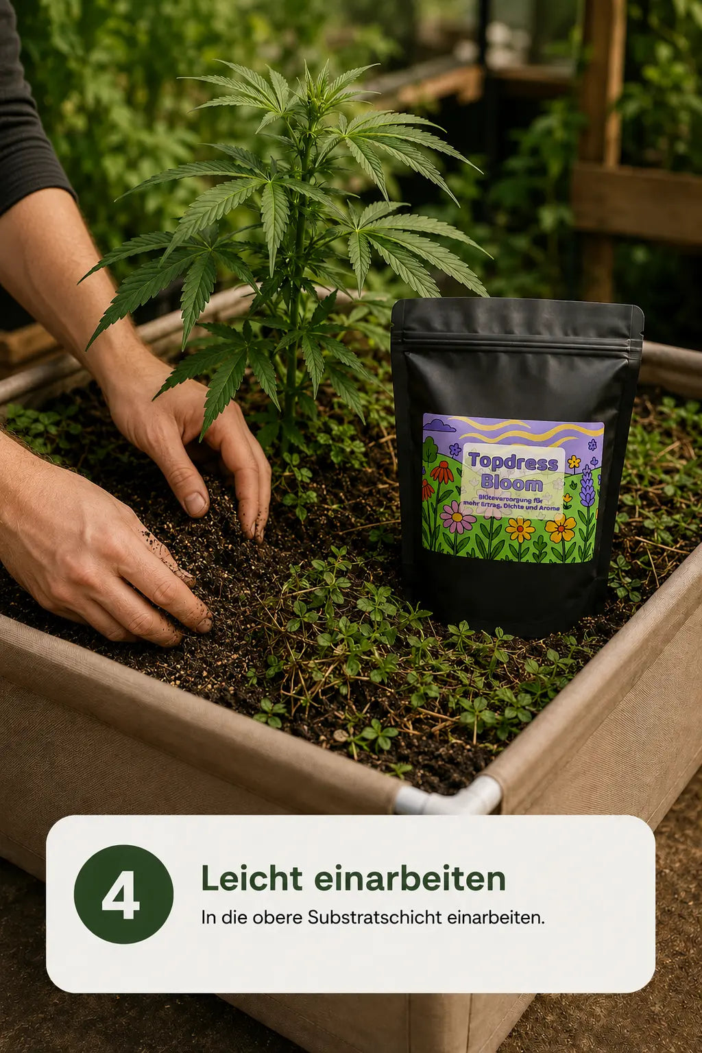 TopDress Bloom - CannaSelection®