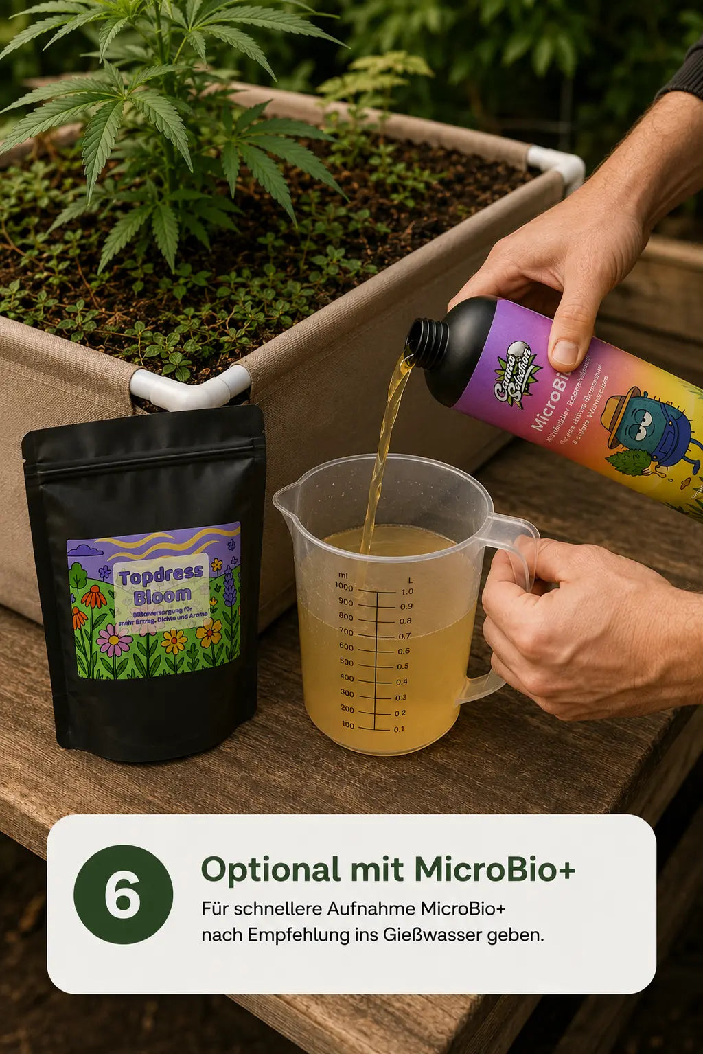 TopDress Bloom - CannaSelection®