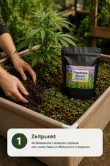 TopDress Bloom - CannaSelection®