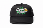 Trucker Cap Classic "Black Edition" - CannaSelection