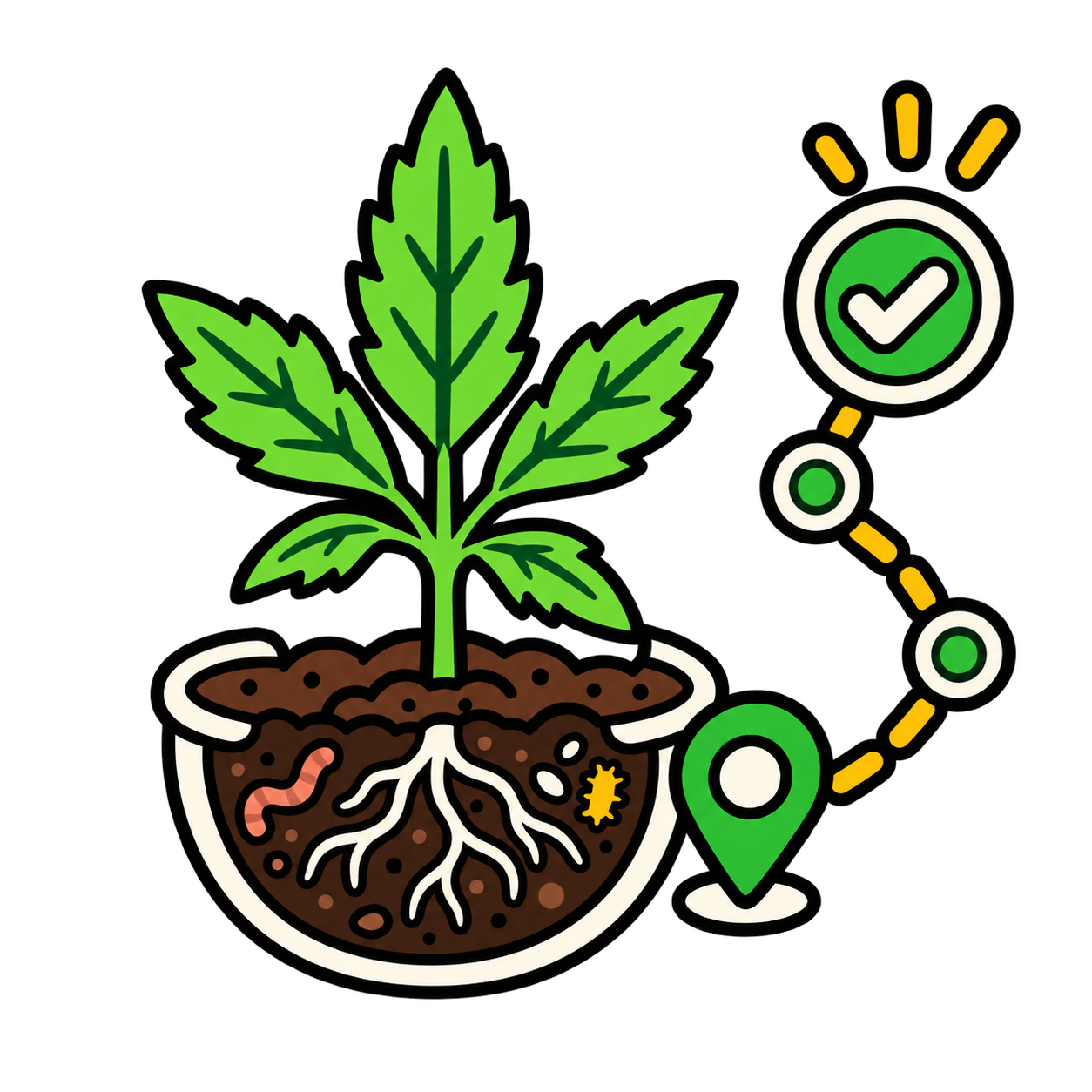 Cannabispflanze mit Wurzelraum, Bodenleben und Einflussfaktoren für den Living Soil Navigator